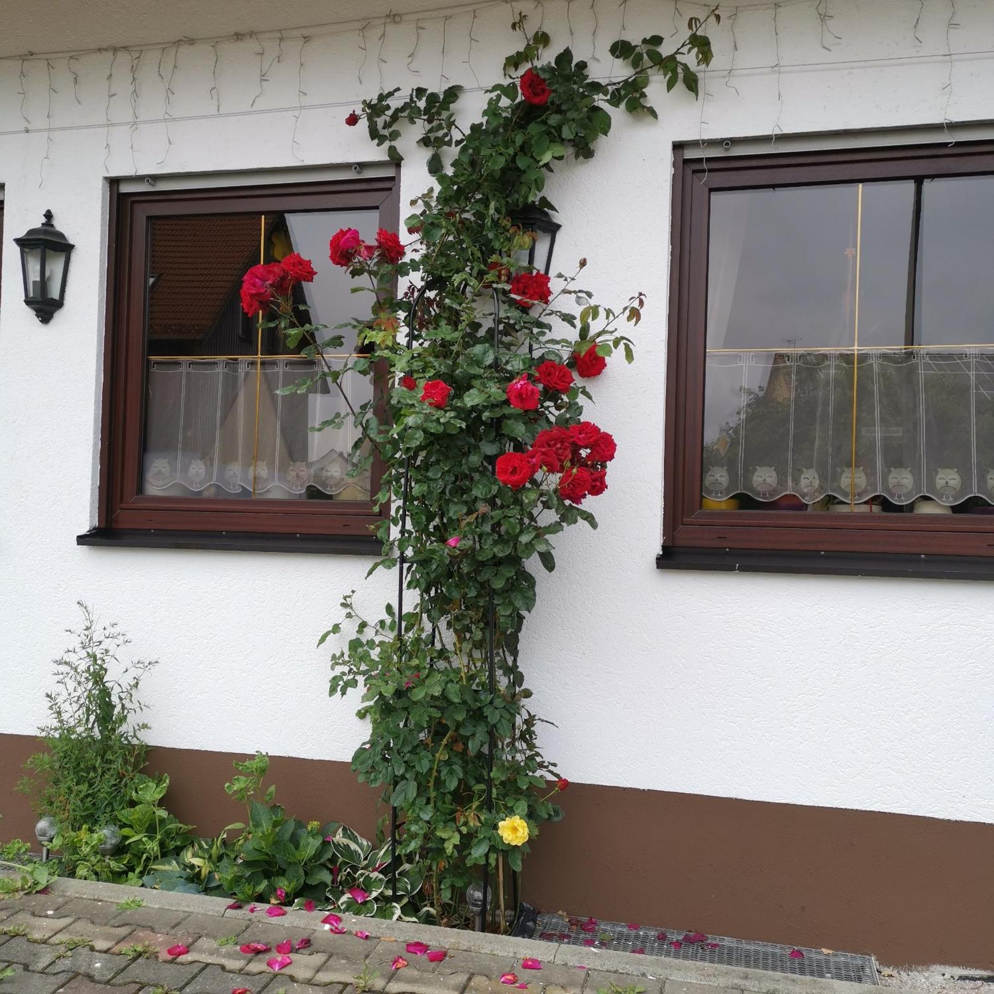 Frankenstube-Winkelhaid Luaran gambar
